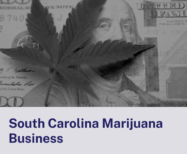 South Carolina Business.png
