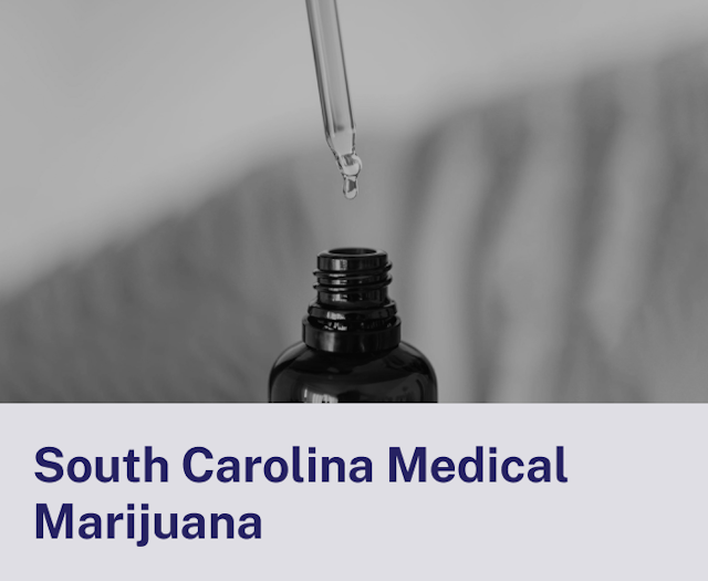 South Carolina Medical.png