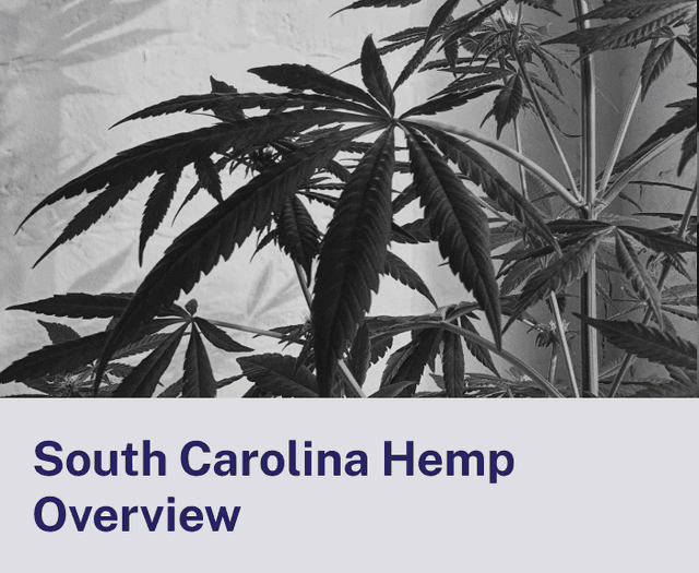 South Carolina Hemp Overview.png