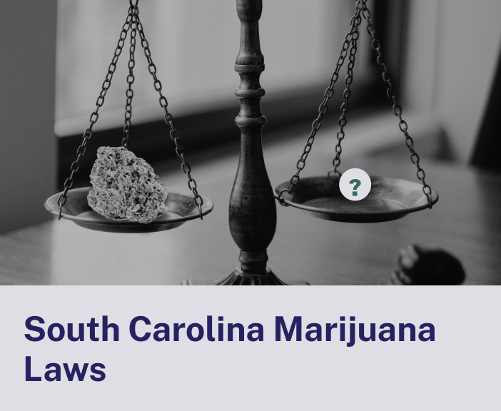 South Carolina Laws.png