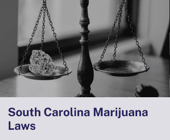 South Carolina Laws.png